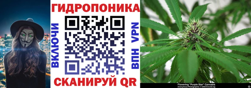 Галлюциногенные грибы Сорск